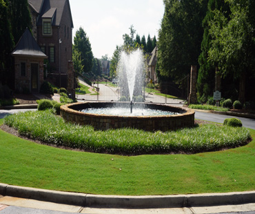 Mirrored Fountains, Rowan Oak